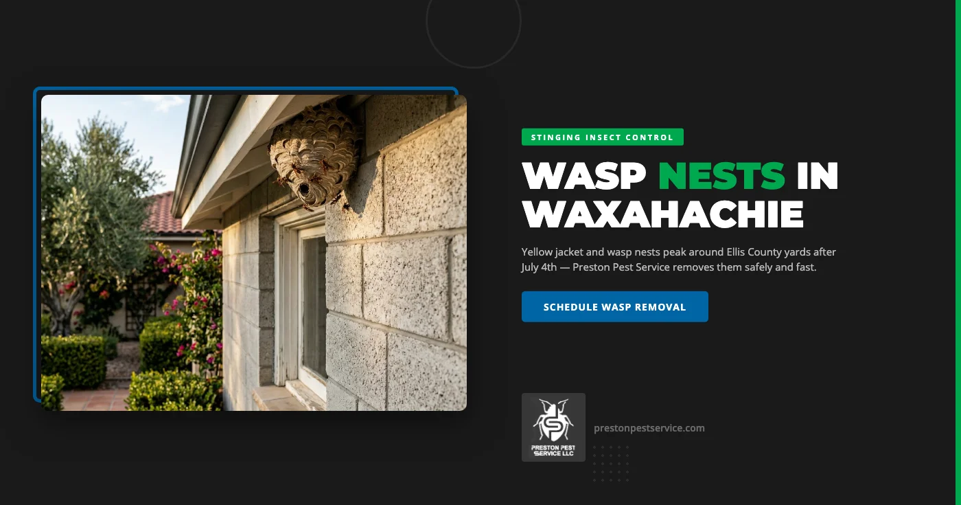 Wasp & Yellow Jacket Control in Waxahachie, TX This Summer