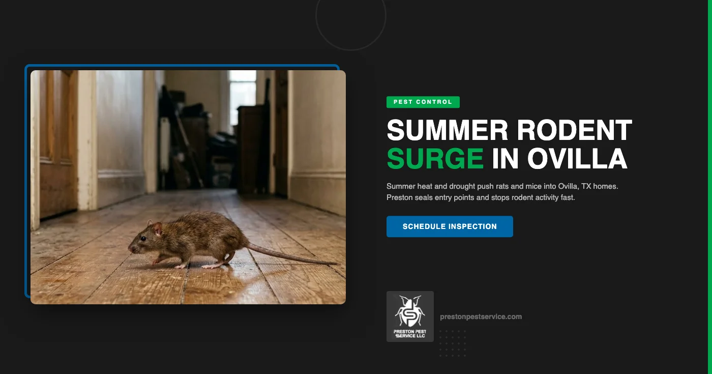 Summer Rodent Control in Ovilla, TX